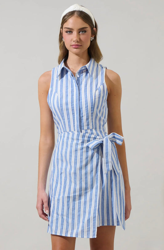 Joncy Striped Dalie Sleeveless Mini Dress