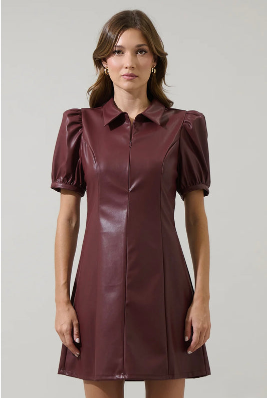 Anisa Leather Kezzy A-Line Mini Dress
