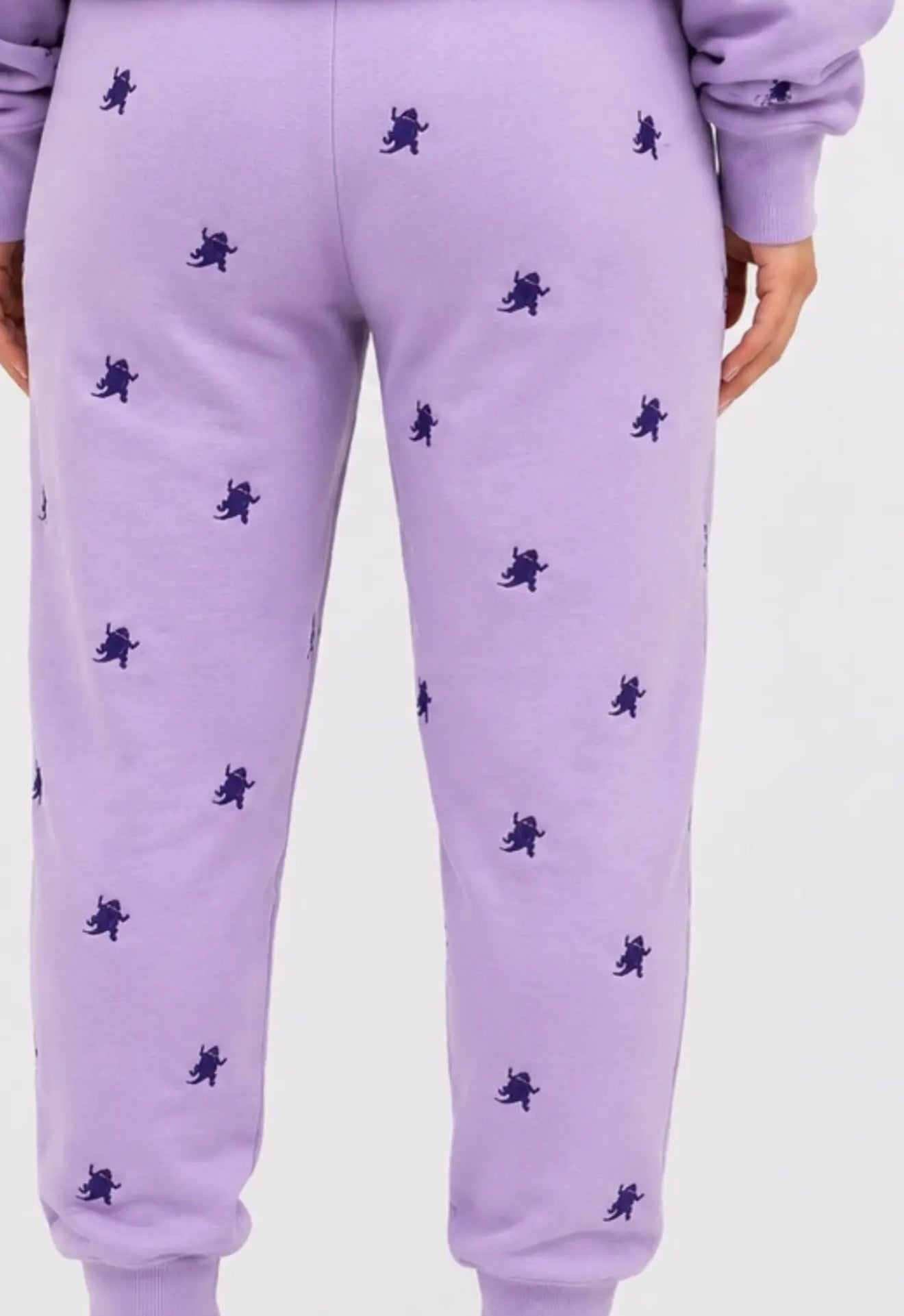 Tcu Embroidered Fleece Sweatpants
