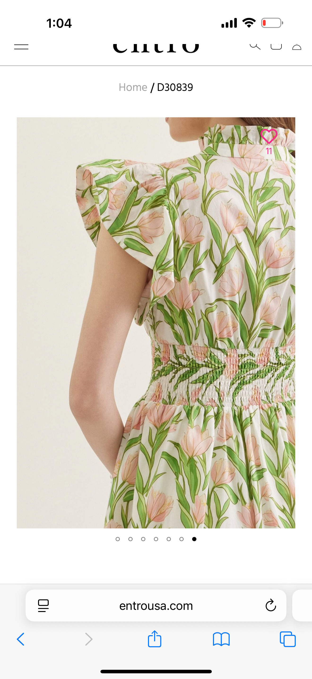 Tulip Dreams Dress