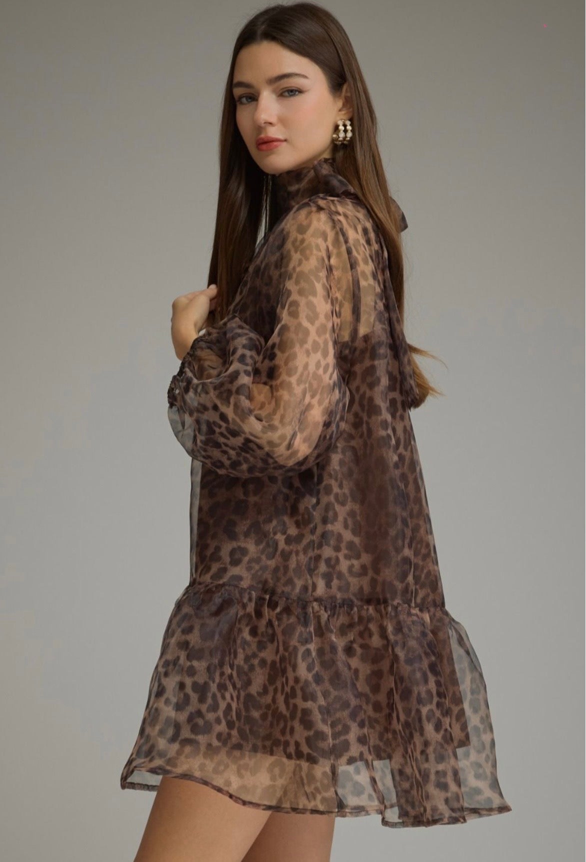 Celia Leopard Dress
