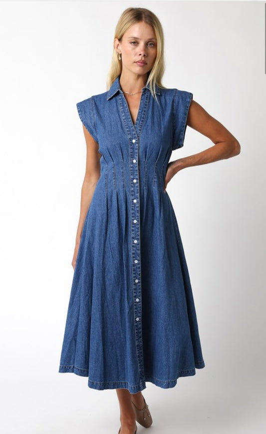 Blair Denim Dress