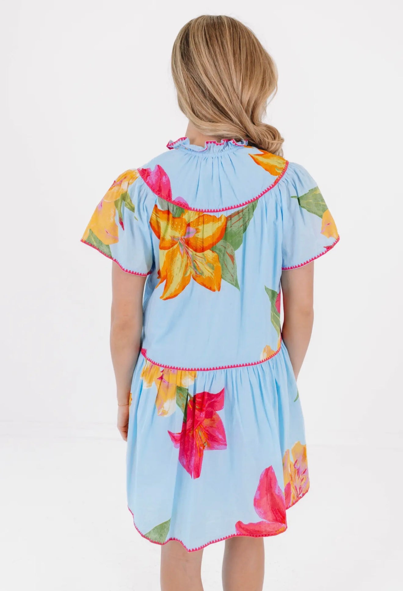 The Kiera V-Neck Dress - Blue Pink
Floral Embroidery