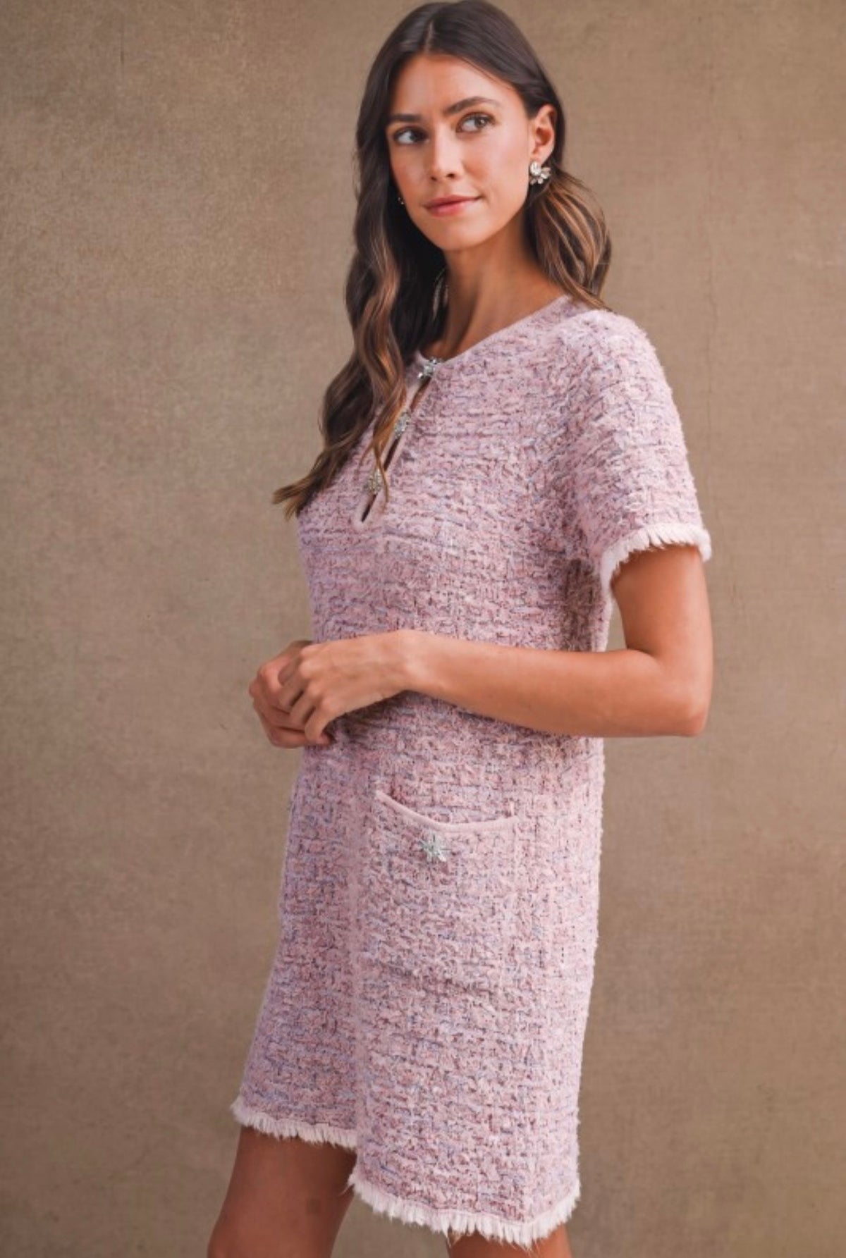 Sophia Tweed Dress