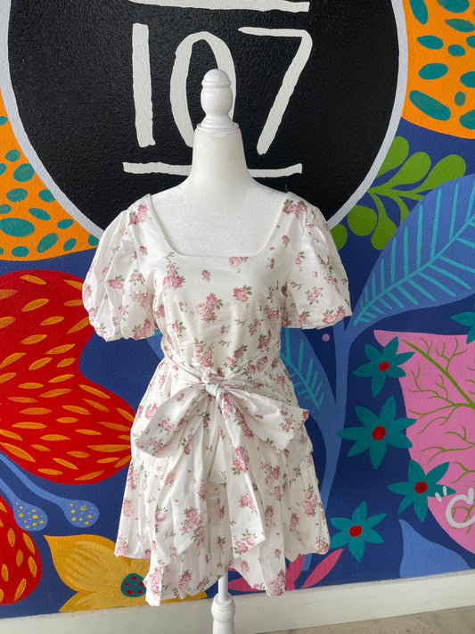 Rose Teagarden Mini Dress